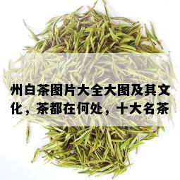 州白茶图片大全大图及其文化，茶都在何处，十大名茶