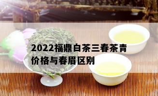 2022福鼎白茶三春茶青价格与春眉区别