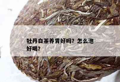 牡丹白茶养胃好吗？怎么泡好喝？