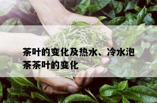 茶叶的变化及热水、冷水泡茶茶叶的变化