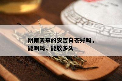 阴雨天采的安吉白茶好吗，能喝吗，能放多久