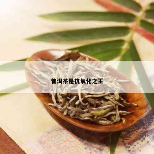 普洱茶是抗氧化之王