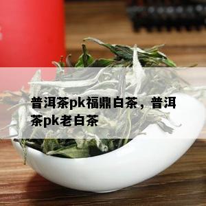 普洱茶pk福鼎白茶，普洱茶pk老白茶