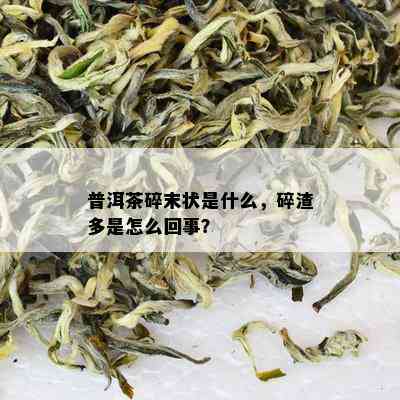 普洱茶碎末状是什么，碎渣多是怎么回事？