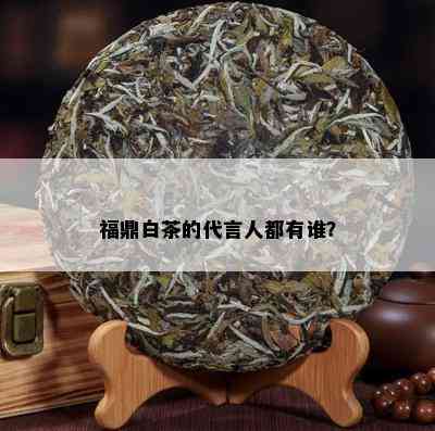 福鼎白茶的代言人都有谁？