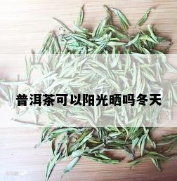 普洱茶可以阳光晒吗冬天