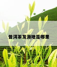 普洱茶发源地是哪里