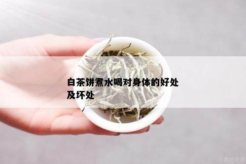 白茶饼煮水喝对身体的好处及坏处