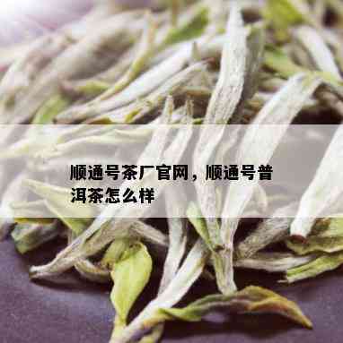 顺通号茶厂官网，顺通号普洱茶怎么样