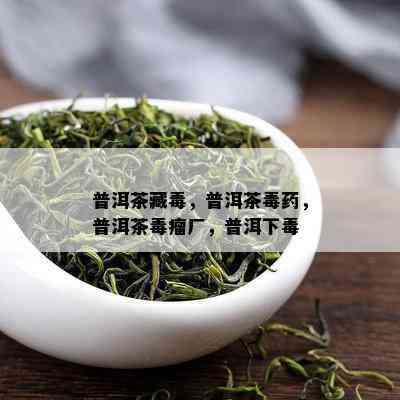 普洱茶藏，普洱茶，普洱茶瘤厂，普洱下