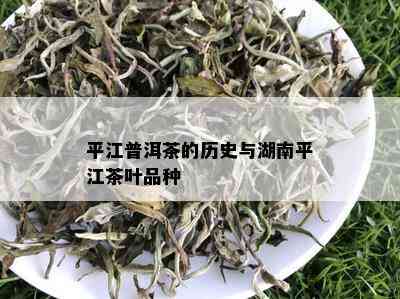 平江普洱茶的历史与湖南平江茶叶品种