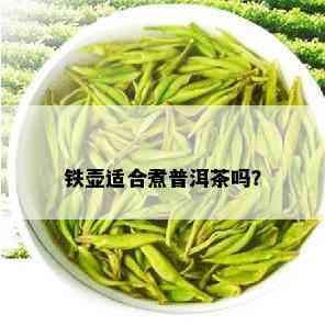 铁壶适合煮普洱茶吗？