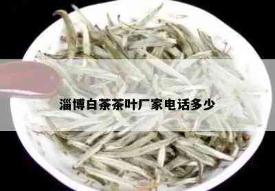 淄博白茶茶叶厂家电话多少