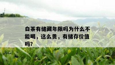 白茶有储藏年限吗为什么不能喝，这么贵，有储存价值吗？