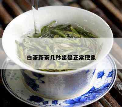 白茶新茶几秒出是正常现象