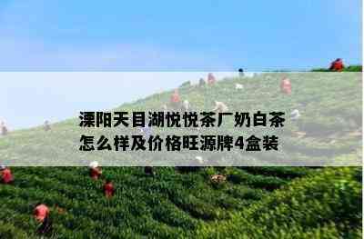 溧阳天目湖悦悦茶厂奶白茶怎么样及价格旺源牌4盒装