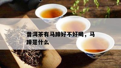 普洱茶有马蹄好不好喝，马蹄是什么