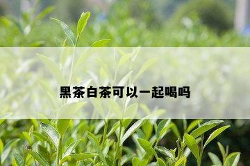 黑茶白茶可以一起喝吗