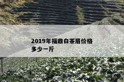 2019年福鼎白茶眉价格多少一斤