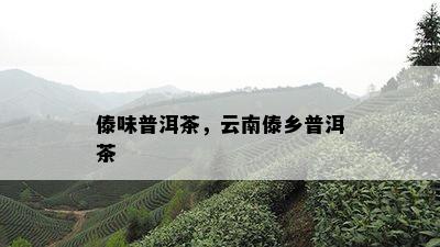 傣味普洱茶，云南傣乡普洱茶