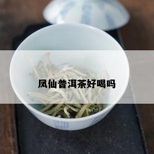 凤仙普洱茶好喝吗