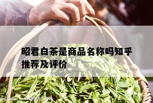 昭君白茶是商品名称吗知乎推荐及评价