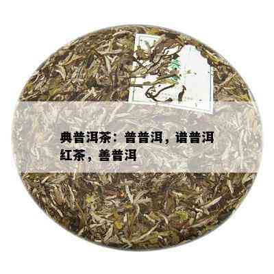 典普洱茶：普普洱，谱普洱红茶，善普洱