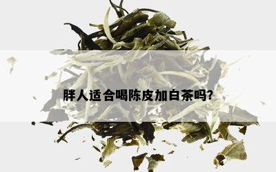 胖人适合喝陈皮加白茶吗？