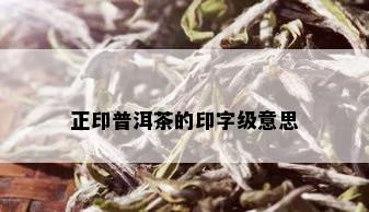 正印普洱茶的印字级意思