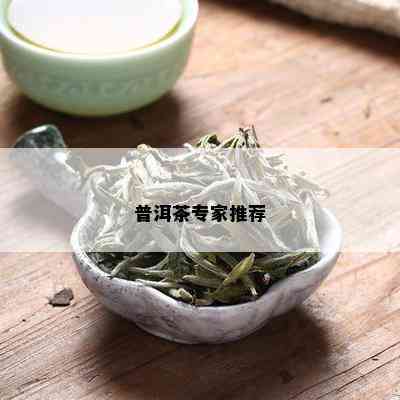 普洱茶专家推荐