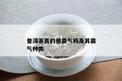 普洱茶真的很霸气吗及其霸气种类