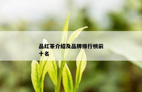 品红茶介绍及品牌排行榜前十名