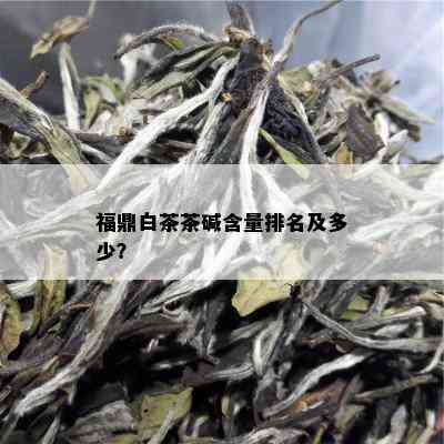 福鼎白茶茶碱含量排名及多少？