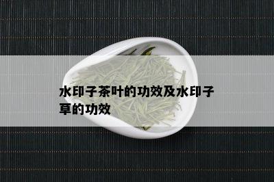 水印子茶叶的功效及水印子草的功效