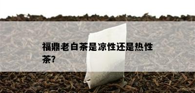 福鼎老白茶是凉性还是热性茶？