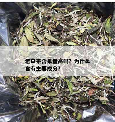 老白茶含氟量高吗？为什么含有主要成分？