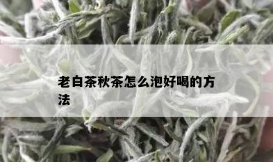 老白茶秋茶怎么泡好喝的方法