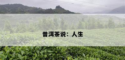 普洱茶说：人生