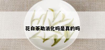 花白茶助消化吗是真的吗