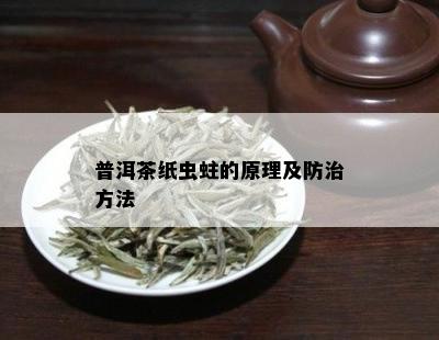 普洱茶纸虫蛀的原理及防治方法