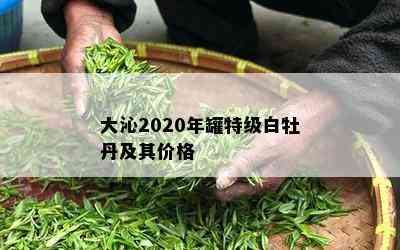 大沁2020年罐特级白牡丹及其价格