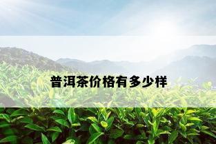 普洱茶价格有多少样