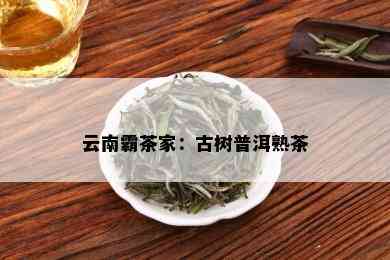 云南霸茶家：古树普洱熟茶