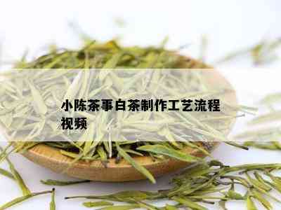 小陈茶事白茶制作工艺流程视频