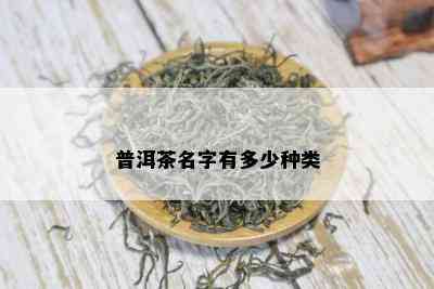 普洱茶名字有多少种类