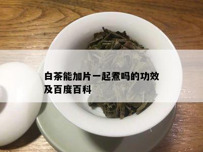 白茶能加片一起煮吗的功效及百度百科