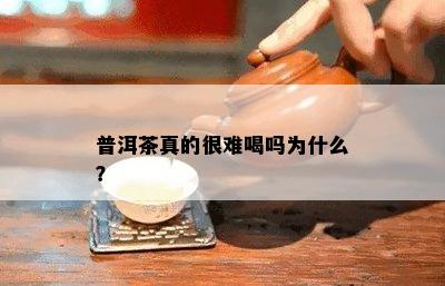 普洱茶真的很难喝吗为什么？