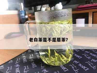 老白茶是不是眉茶？