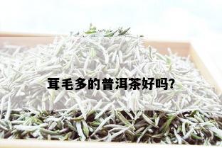 茸毛多的普洱茶好吗？