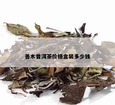 善木普洱茶价格盒装多少钱